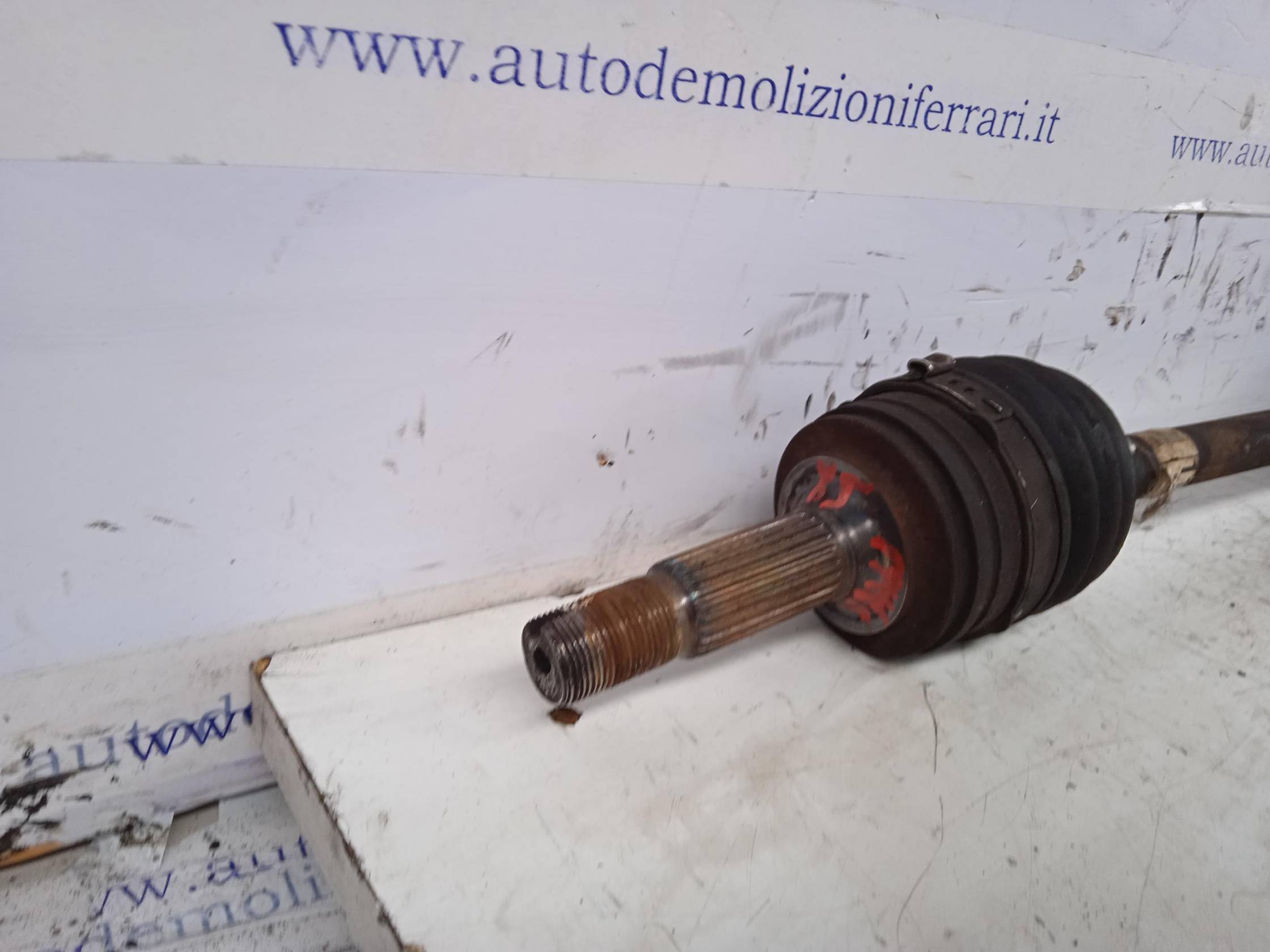 Semialbero ant. compl. sx.